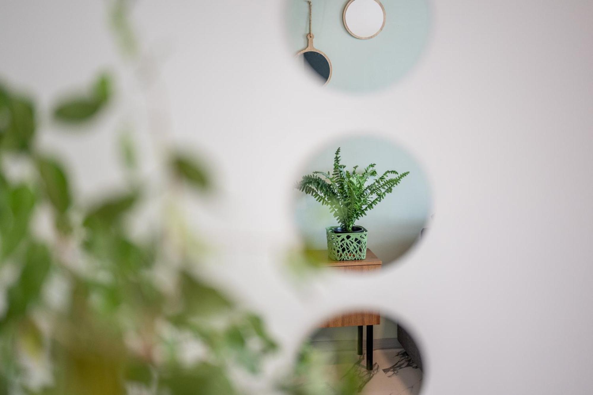 Wohlfuehlwohnung Mit 25 Qm Terrasse, Netflix Coblença Exterior foto